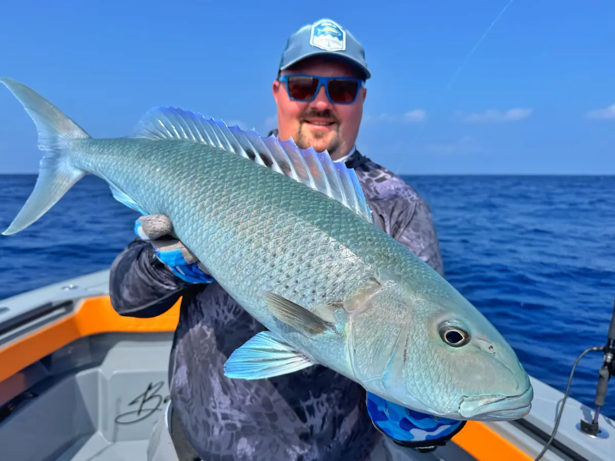 ТУР BIG GAME MAHE PLATO 4H