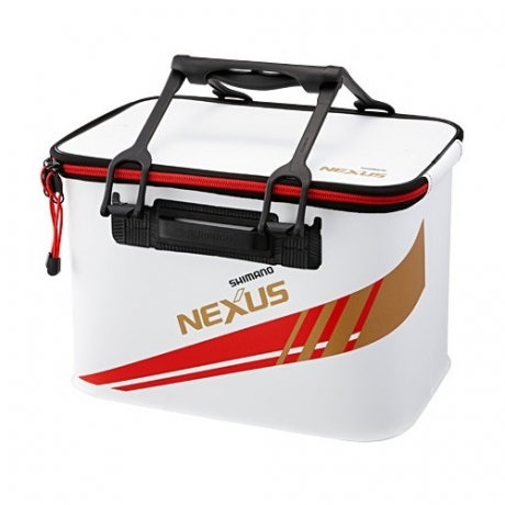 нексус кр.jpg